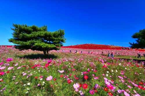 f:id:jranar:20141018221924j:image f:id:jranar:20141018221924j:image