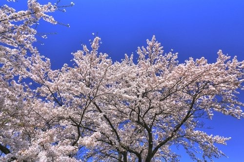 f:id:jranar:20150419070836j:image