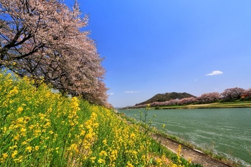 f:id:jranar:20150419072103j:image