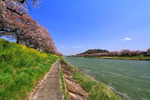 f:id:jranar:20150419072124j:image