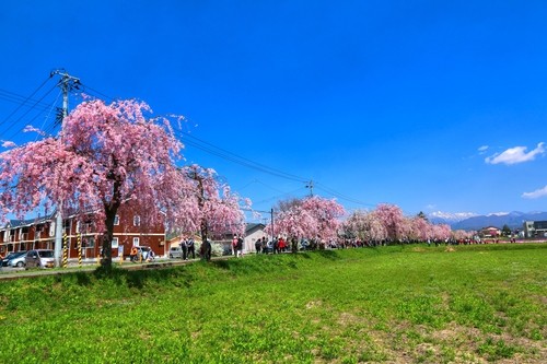 f:id:jranar:20150425231755j:image