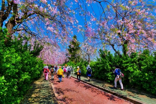 f:id:jranar:20150425231758j:image