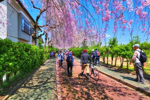 f:id:jranar:20150425231759j:image