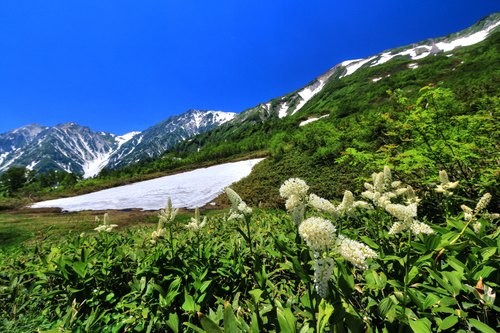 f:id:jranar:20150712194213j:image