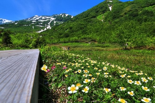 f:id:jranar:20150712194601j:image