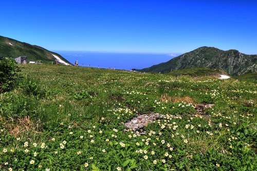 f:id:jranar:20150802114051j:image