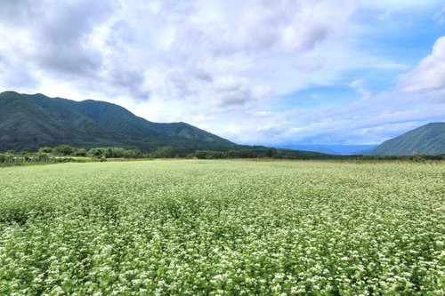 f:id:jranar:20150905214635j:image f:id:jranar:20150905214635j:image