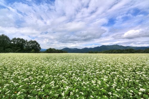 f:id:jranar:20150905214919j:image f:id:jranar:20150905214919j:image