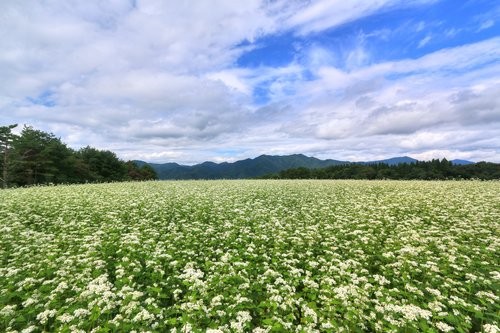 f:id:jranar:20150905214920j:image f:id:jranar:20150905214920j:image