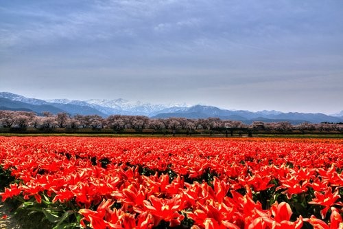 f:id:jranar:20160410045700j:image f:id:jranar:20160410045700j:image