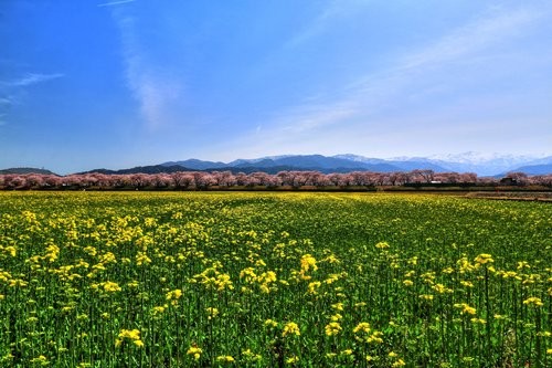 f:id:jranar:20160410050750j:image f:id:jranar:20160410050750j:image