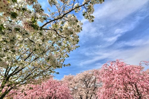 f:id:jranar:20160410051235j:image f:id:jranar:20160410051235j:image