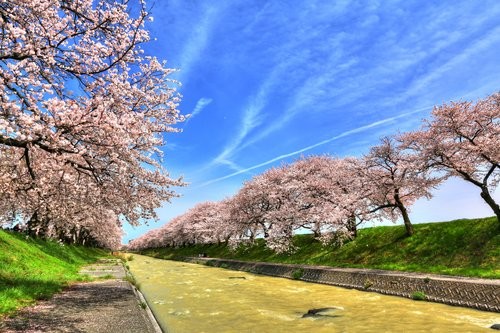 f:id:jranar:20160410051530j:image f:id:jranar:20160410051530j:image