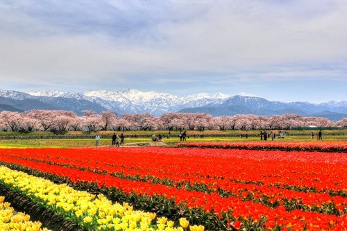 f:id:jranar:20160410051646j:image f:id:jranar:20160410051646j:image