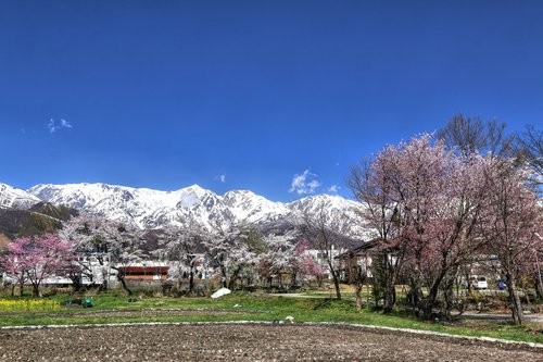 f:id:jranar:20160424195739j:image f:id:jranar:20160424195739j:image