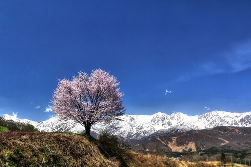 f:id:jranar:20160424200058j:image f:id:jranar:20160424200058j:image