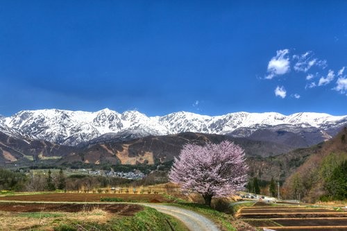 f:id:jranar:20160424200452j:image f:id:jranar:20160424200452j:image