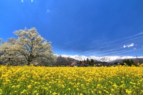 f:id:jranar:20160424201356j:image f:id:jranar:20160424201356j:image
