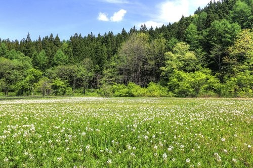 f:id:jranar:20160516134523j:image f:id:jranar:20160516134523j:image