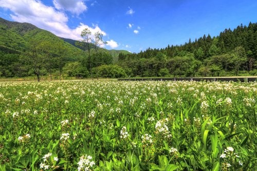 f:id:jranar:20160516134729j:image