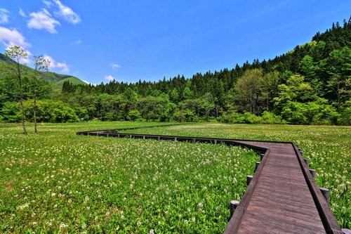 f:id:jranar:20160516134732j:image