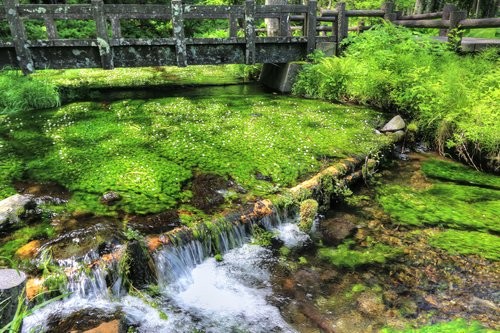 f:id:jranar:20160516135048j:image