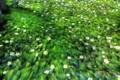 20160516135329