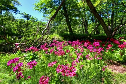f:id:jranar:20160603214743j:image f:id:jranar:20160603214743j:image