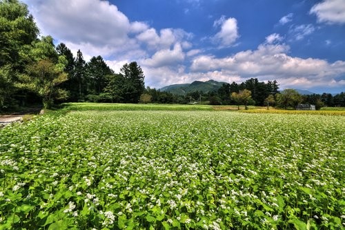 f:id:jranar:20160905201619j:image f:id:jranar:20160905201619j:image