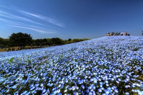 f:id:jranar:20170430075605j:image