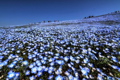 f:id:jranar:20170430075606j:image