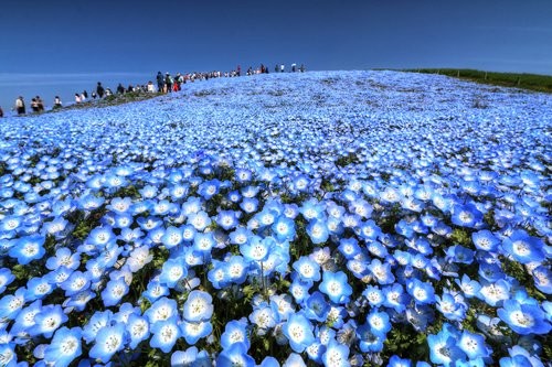 f:id:jranar:20170430075608j:image