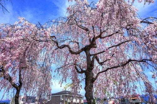 f:id:jranar:20170506081023j:image