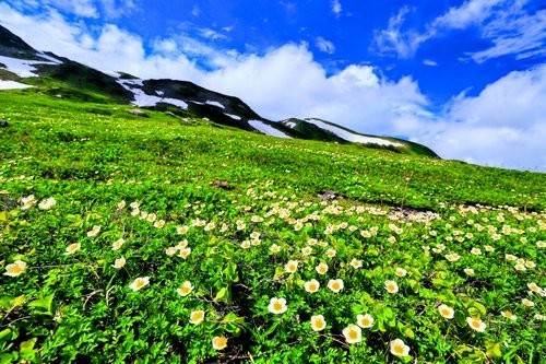 f:id:jranar:20170812183037j:image