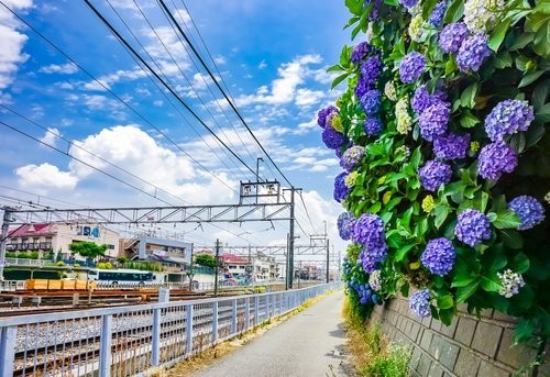 f:id:jranar:20180811154349j:image
