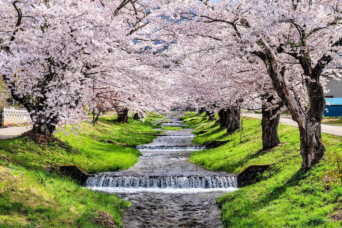 f:id:jranar:20190429082322j:plain