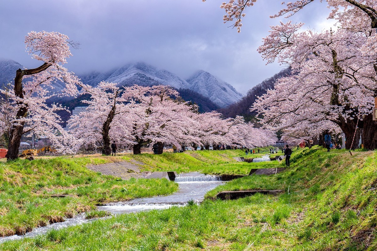 f:id:jranar:20190429082324j:plain