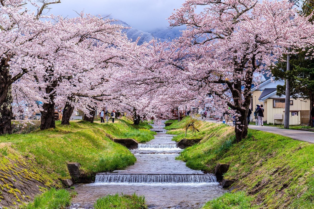 f:id:jranar:20190429082327j:plain