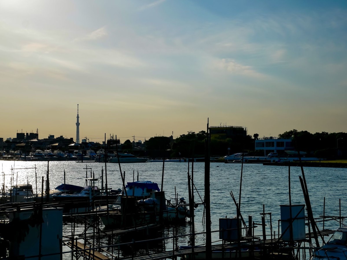 f:id:jranar:20190531092658j:plain