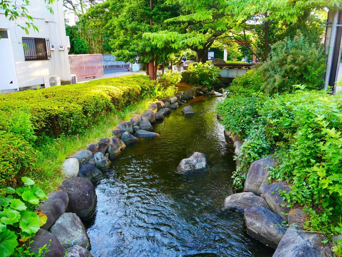 f:id:jranar:20190531094706j:plain