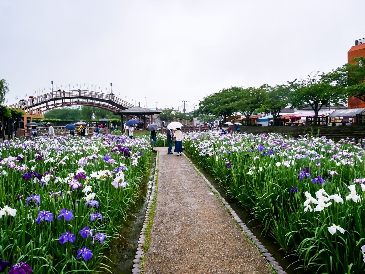 f:id:jranar:20190608160945j:plain f:id:jranar:20190608160945j:plain