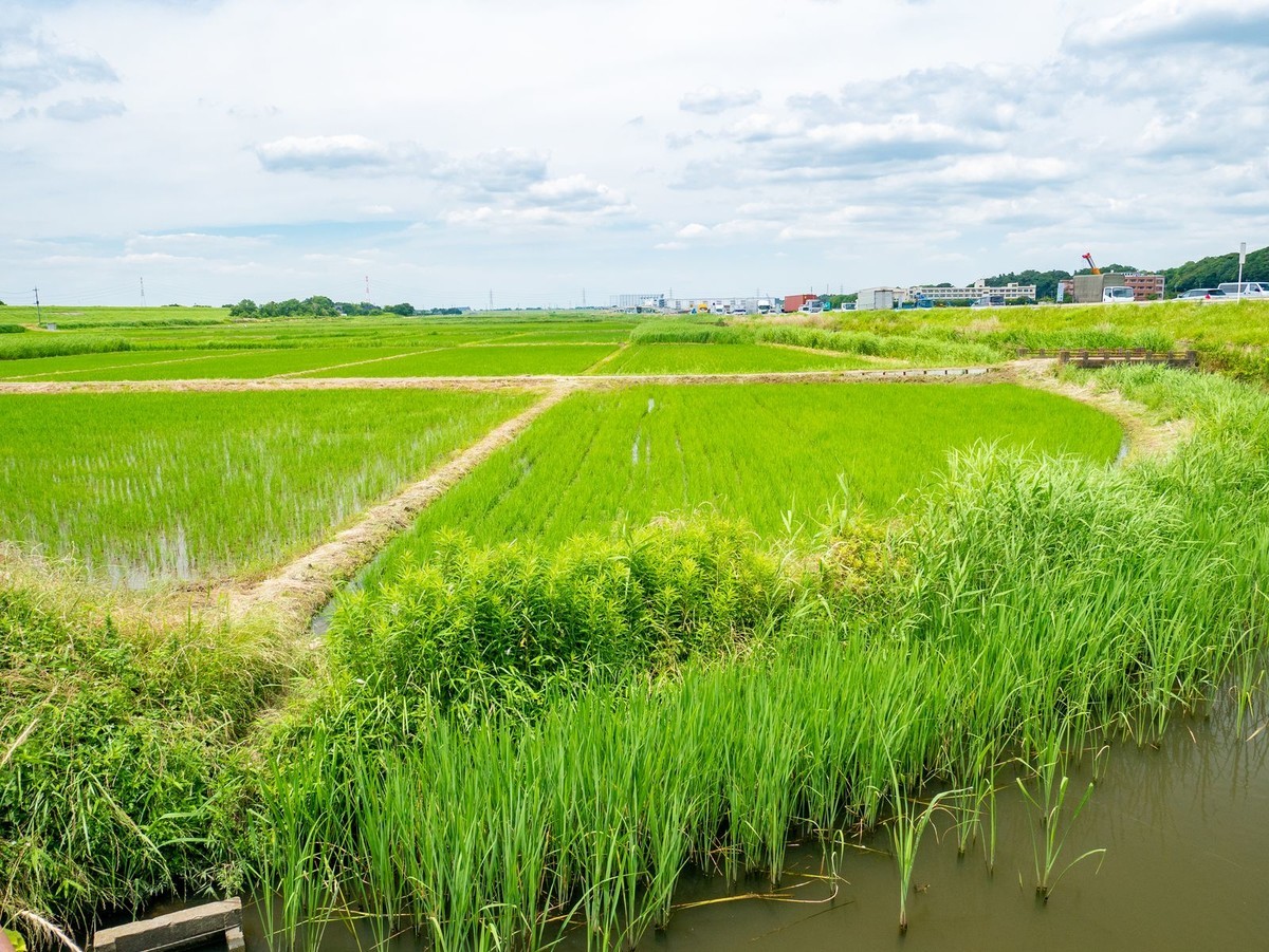 f:id:jranar:20190615090217j:plain f:id:jranar:20190615090217j:plain
