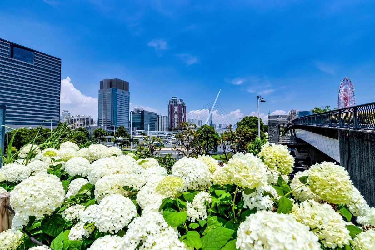 f:id:jranar:20190625212247j:plain