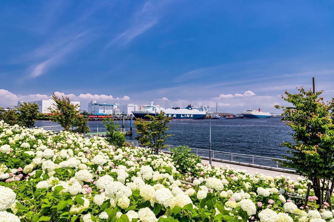 f:id:jranar:20190625212921j:plain