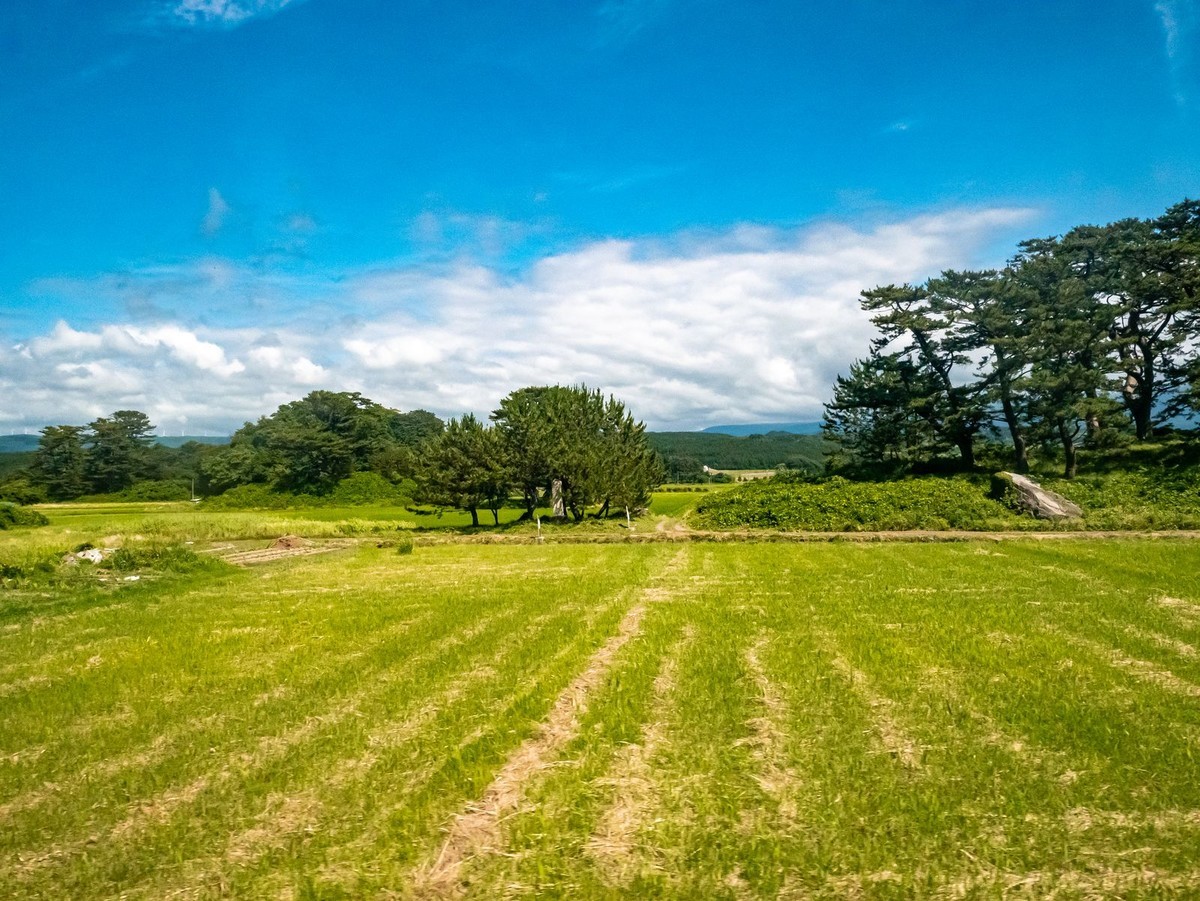 f:id:jranar:20190714200244j:plain
