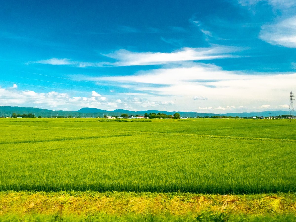f:id:jranar:20190714200831j:plain