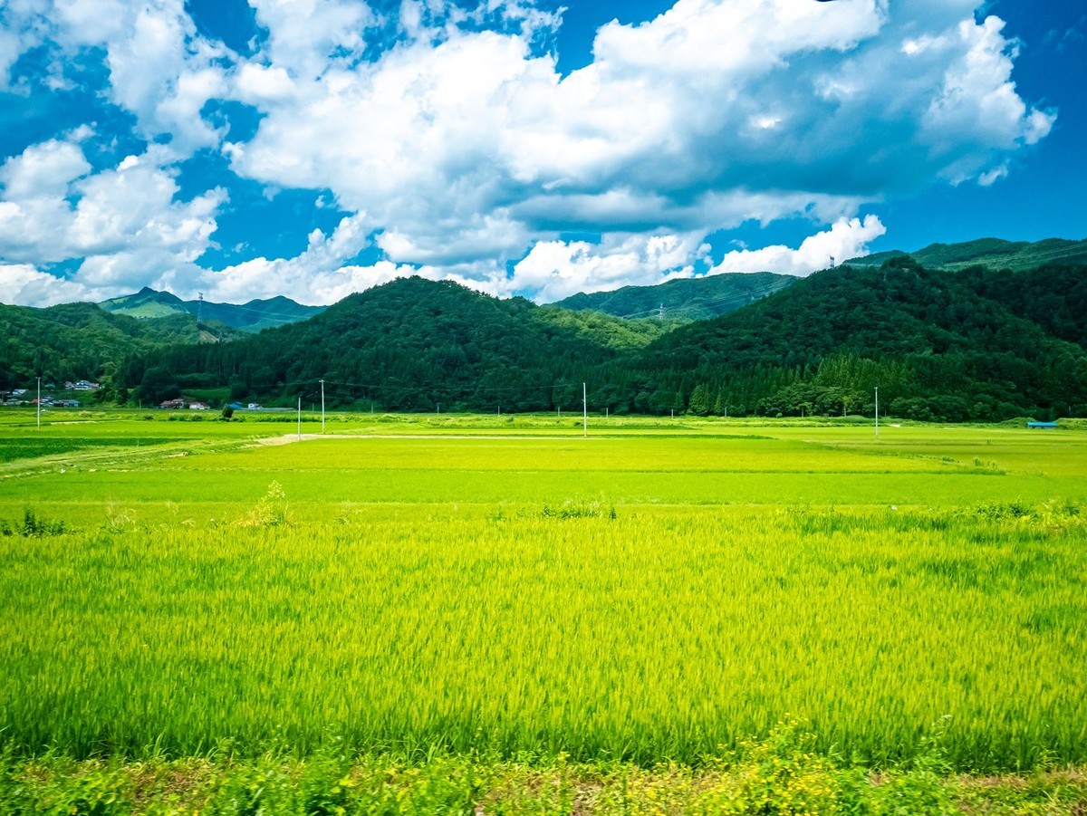 f:id:jranar:20190812052354j:plain