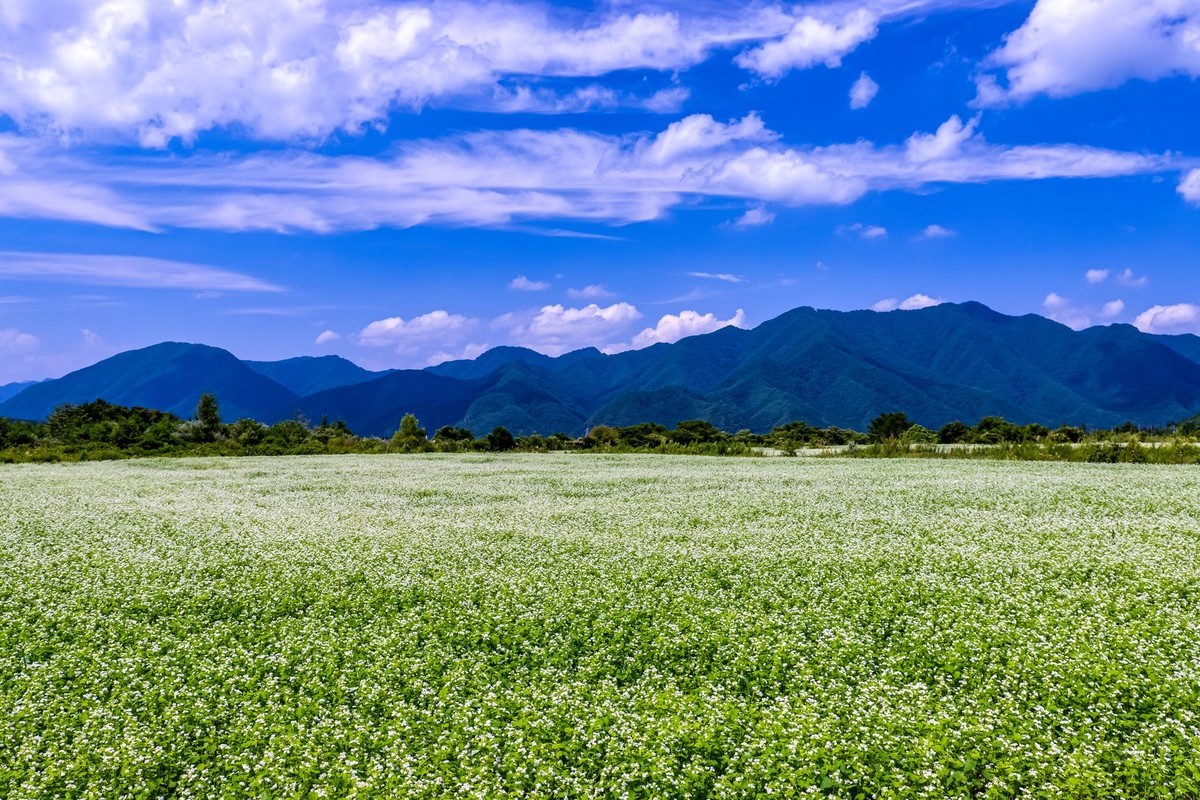f:id:jranar:20190824224734j:plain