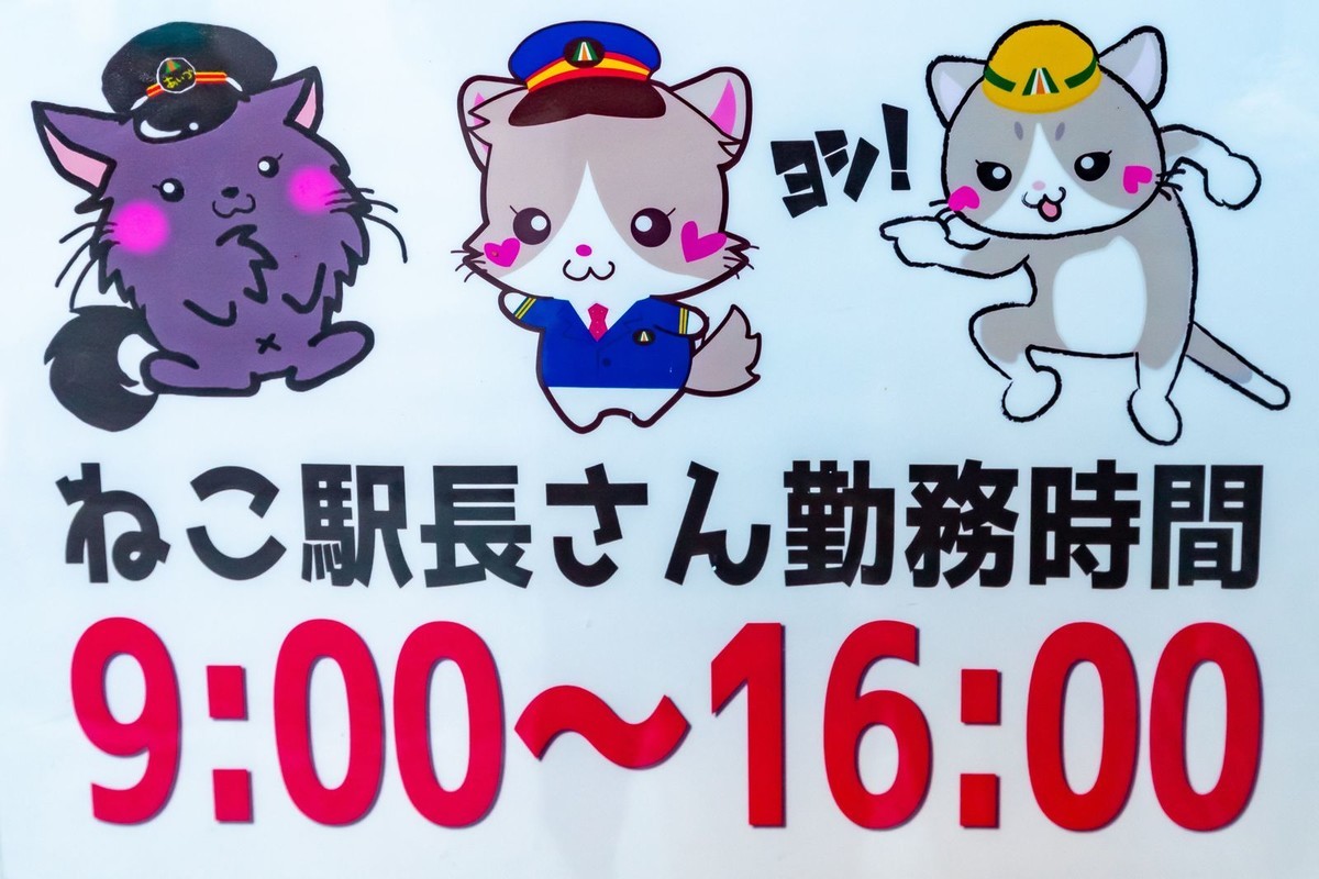 f:id:jranar:20191231071657j:plain f:id:jranar:20191231071657j:plain