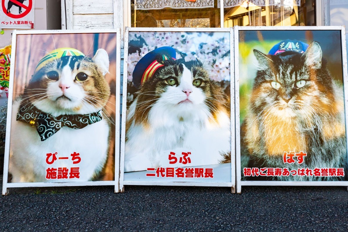 f:id:jranar:20191231072241j:plain f:id:jranar:20191231072241j:plain